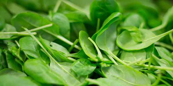 Spinach